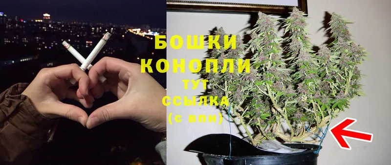 Канабис THC 21%  Нолинск 